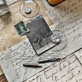 MEMORY BOX - Serie 8 - KLG 2 - MEDIUM
