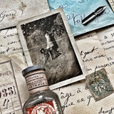 MEMORY BOX - Serie 8 - KLG 2 - MEDIUM
