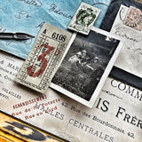 MEMORY BOX - Serie 8 - KLG 2 - MEDIUM
